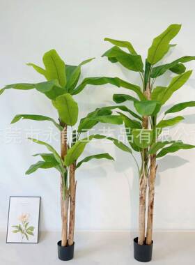 真芭蕉树植落地树盆栽内装饰仿客厅仿真绿芭GPQ蕉植物旅人蕉香室