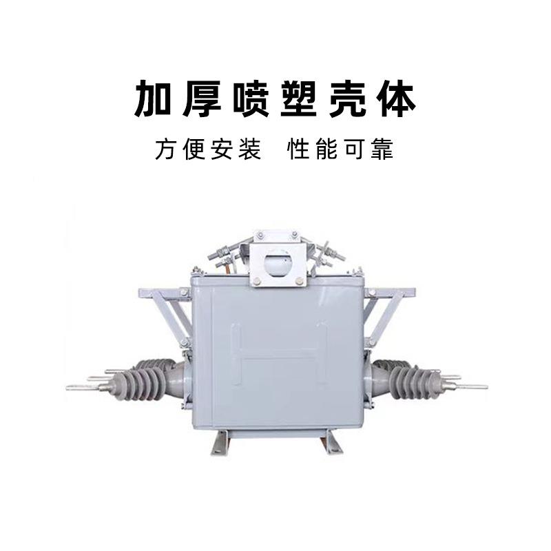 兴家电力厂10KV户外高压真断路器ZW20-12KV/63飓空0A手ZW20-12/动