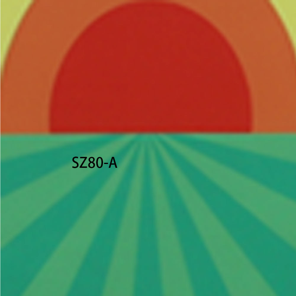 SZ80智能音乐跳舞地毯成人可用
