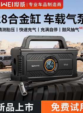 埠威BUWEI汽车充气泵鼓风二合一多功能便携式充气泵ST13