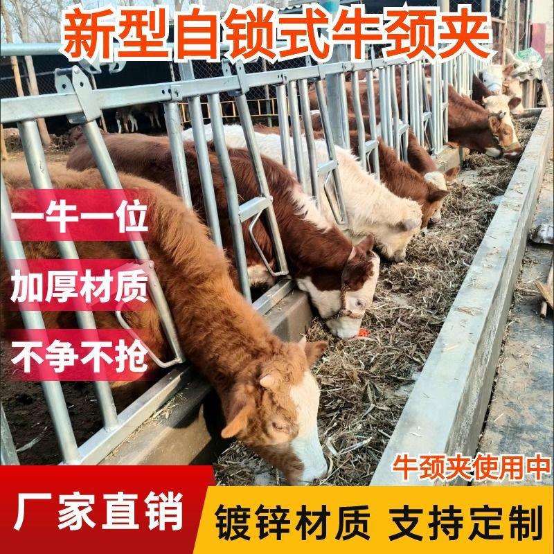新型自锁式牛颈加厚结实热镀锌单开配件双开护栏养殖防疫设备