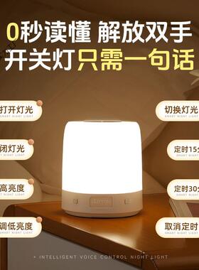 智能语音灯小夜灯声控感应卧室床头睡眠夜晚睡觉伴睡定时款台灯起