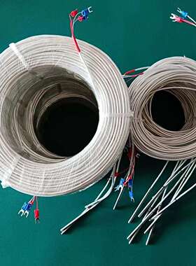 电厂水泥厂化工厂钢厂煤矿矿井配套设备端面超长铂热电阻WZP-035