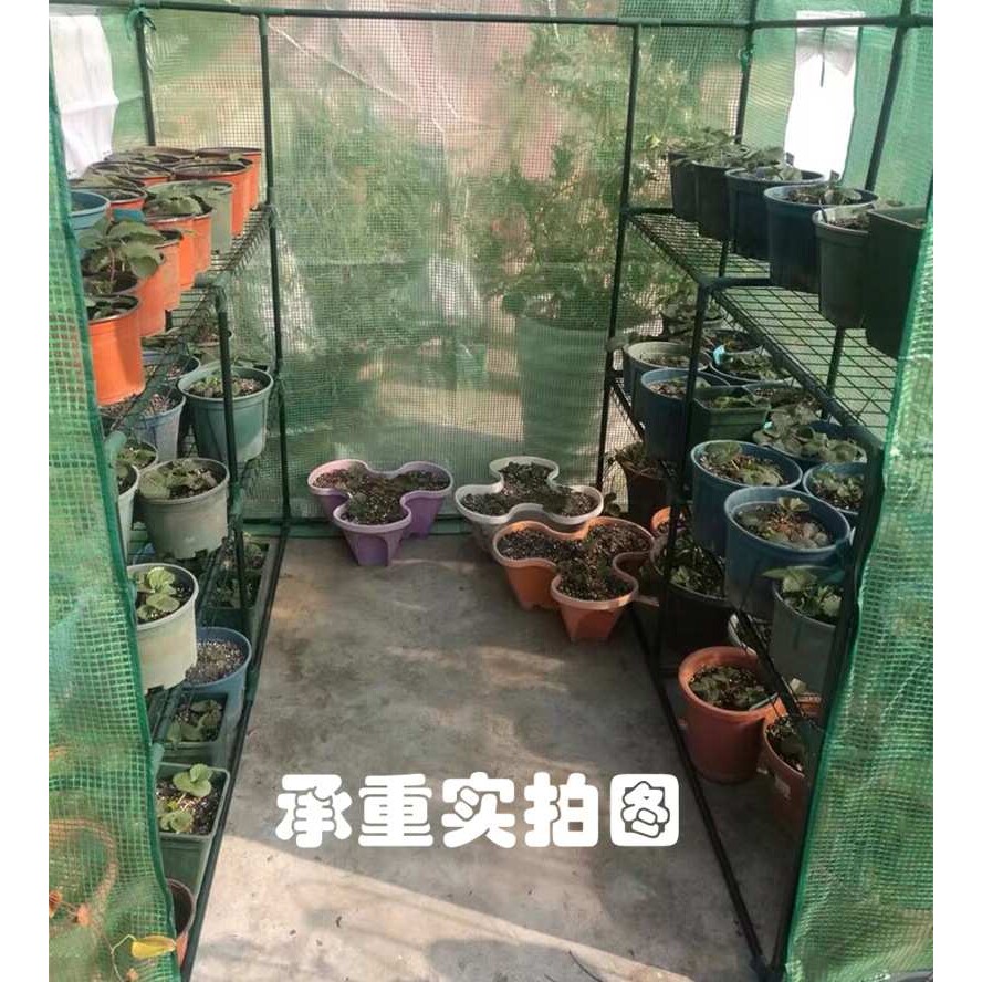 庭院小暖棚植物过冬多肉冬季简易花卉家庭室外养花小暖房家用花棚