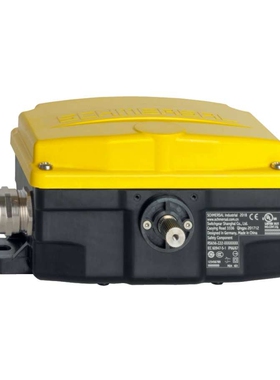 schmersal重型限位开关BS655-Z22-G024 G115 G230 DN BS655-T22