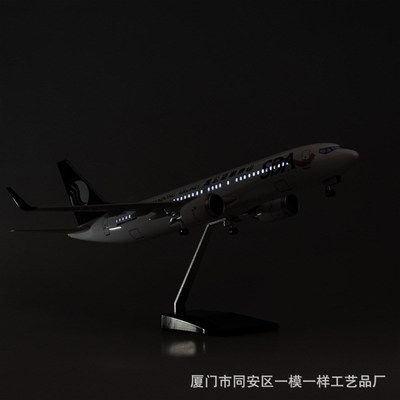 带轮子带灯47cm山东航空山航客机飞机模型波音737仿真拼装民航800