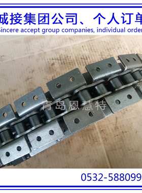 DBC东宝防锈滚子40-1 60-2 100-3 双节距输送链条工业链条