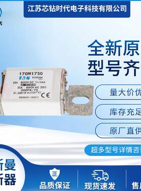 170M1762 170M1730 170M1731 巴斯曼BUSSMANN快速熔断器保险丝