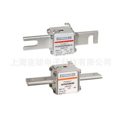 罗兰熔断器   PC293UG15C750TF P081755 PC293UK15C800TF F076181