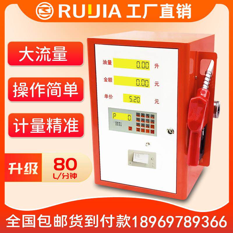 锐嘉12V24V220V车载 静音加油机全自动柴油 小型加油机