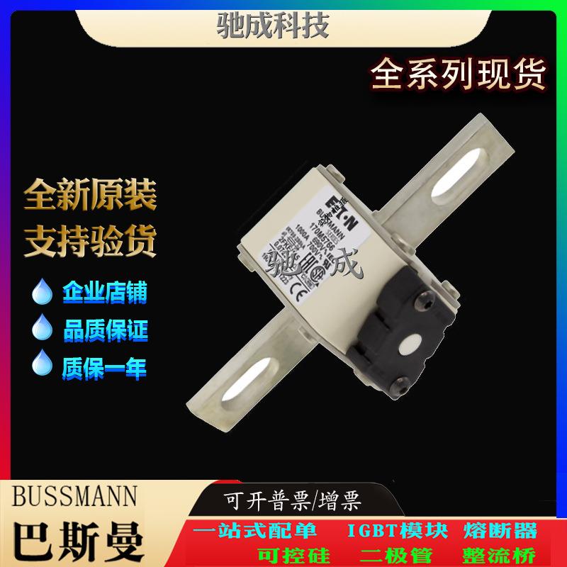 巴斯曼170M5766 170M5767 170M5768 厂家直供销售价优 方体熔断器图片