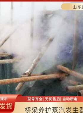 冬季桥梁蒸汽养护设备 48kwx消毒熨烫蒸煮洗车电热蒸汽 现货