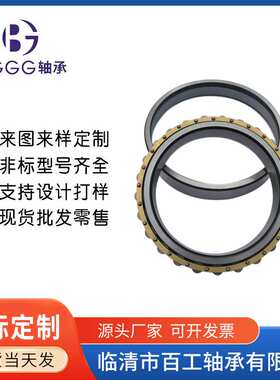 N1006-K-M1-SP精密机床主轴轴承N1010K.M1.SP-N1930K.M1.SP工厂家