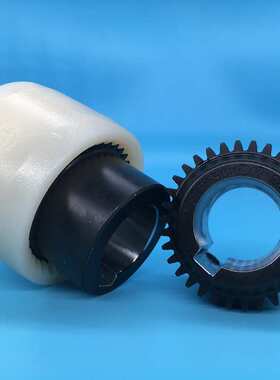 BoWex junior 24尼龙内嵌铁块式联轴器孔径19 D-4440 Rheine