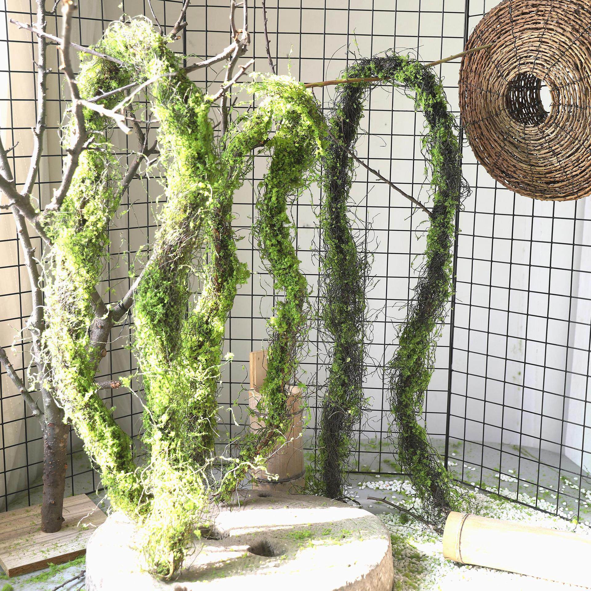 树藤树枝杈榕须攀爬摆放青苔枯藤假苔藓造景森系壁挂花艺装饰