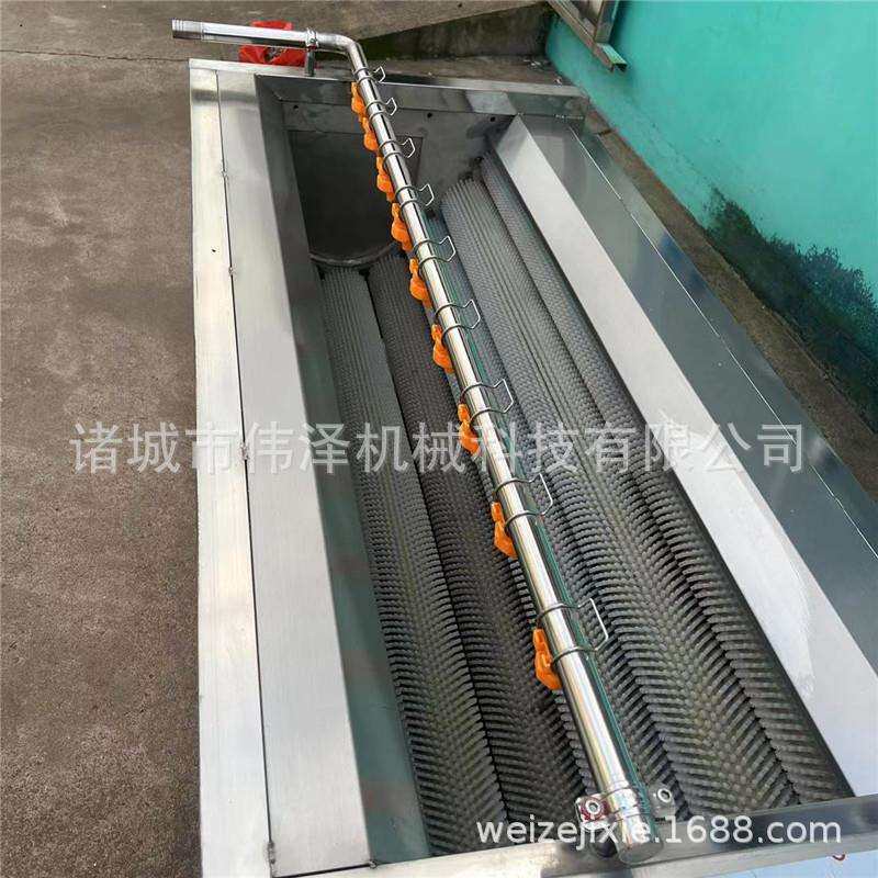 土豆去芽清洗机 扇贝去泥机 连续式平行毛辊清洗设备诸城伟泽厂家