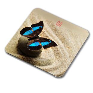 蝴蝶花2013D人体秤钢化玻璃厂家