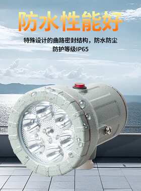 防爆视孔灯LED防爆反应釜灯照明灯BSD视镜灯5W10W延时探照灯24V22