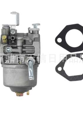 化油器用于Vergaser GM291 GM301 GB290 GB300 GT1000 8~10HP