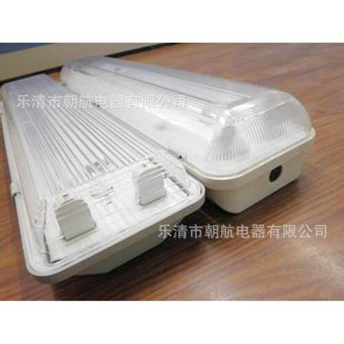 防爆防腐全塑日光灯 BYS三防灯单管双管40W EYD52 BAY51-Q2*36