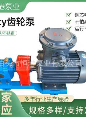 2CY不锈钢齿轮泵  不锈钢磁力齿轮泵  2CY齿轮泵厂家供应规格多样