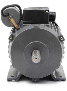 厂家供应YC6334/180W220V单相异步分马力电机电容启动单项马达