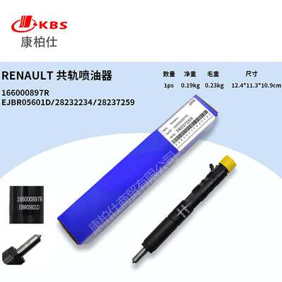 德尔福共轨喷油器28237259 166000897R 28232234 EJBR05601D