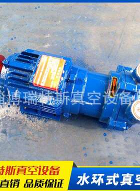 现货供应2BV2060水环式真空泵直连式水环真空泵泵头一手货源