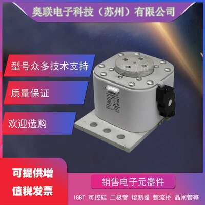 巴斯曼熔断器170M6665/6666/6667/6668/6669/6670/6671保险丝电容