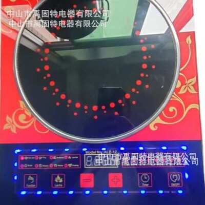 110V电磁炉110V电陶炉多功能电池炉灶induction cooker