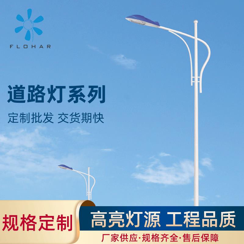 城乡市单臂路灯 街道小区太阳能路灯工程道路小区路灯LED路灯