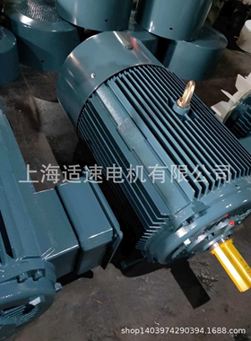 直销YD200L1-8/4  14/22KW变多速三相异步电动机 铜心质保一年