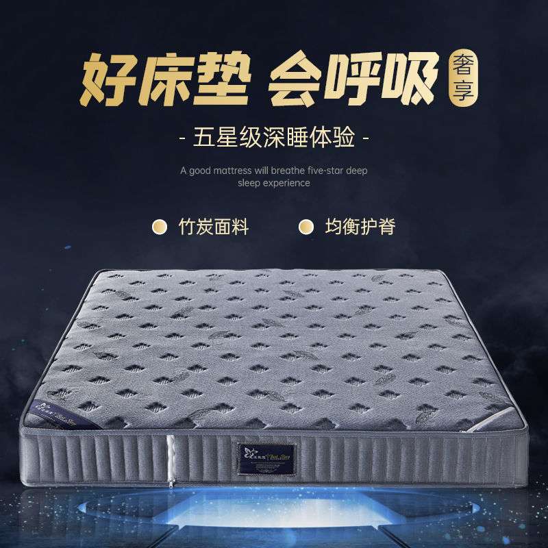 席梦思弹簧床垫软垫软硬竹炭两用床垫家用睡垫酒店双人适老床垫