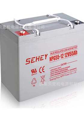 西力铅酸蓄电池NPG12-100SH太阳能发电船舶12v100a深循环大容量