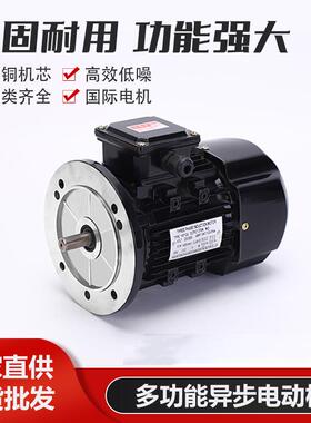 YS7124370W大法兰立式电机污水泵电机