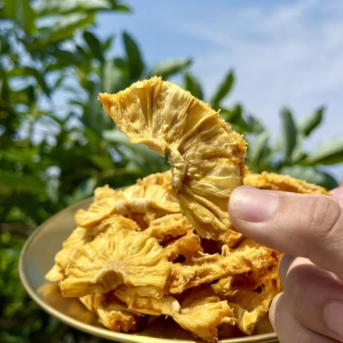 唐四果果攀枝花原味菠萝凤梨干烘干未添加蔗糖休闲水果干新鲜零食