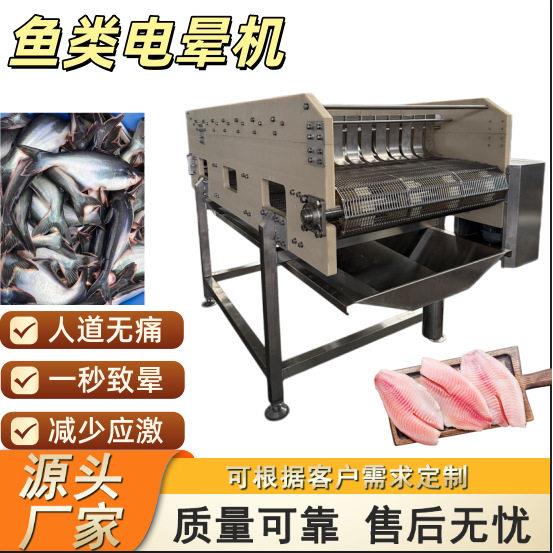 鱼类电晕机三文鱼屠宰加工设备大黄鱼人道致晕机少鱼类应激