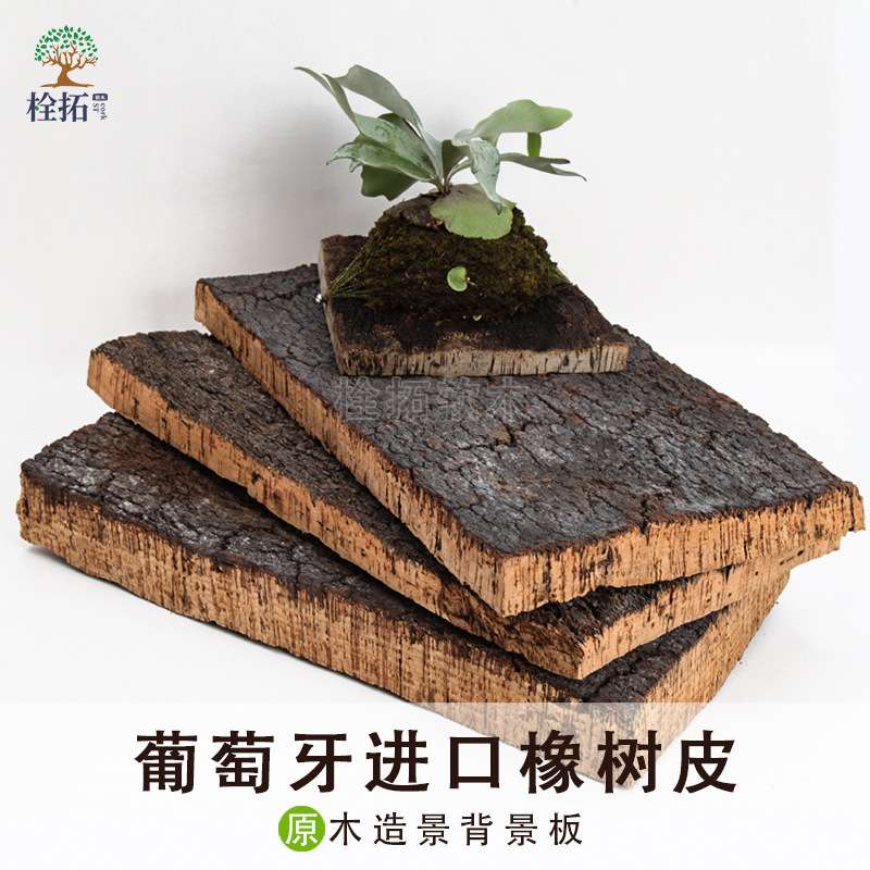 葡萄牙进口天然软木造景爬宠缸背景板兰花板植装饰橡木树皮