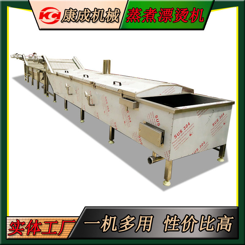 批发蒸汽式芹菜豇豆漂烫机 芸豆杀青机 全自动百合清洗漂烫机包邮