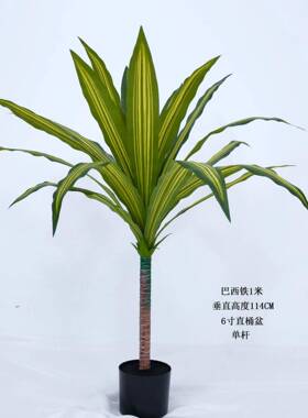 客厅装饰落地仿真巴西铁树绿植餐厅室内绿植造景巴西铁盆栽