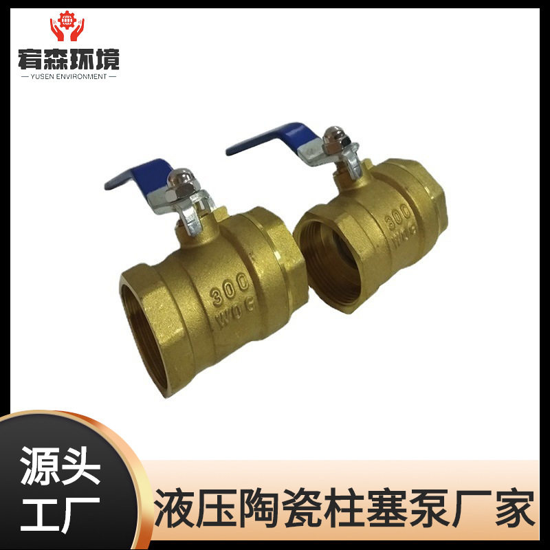 福建直销陶瓷柱塞泵压滤机入料泵泥浆泵双缸泵高压柱塞泵自洁