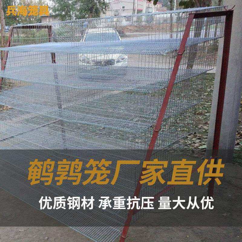 生产鹌鹑笼阶梯式鹌鹑笼养殖场专用鹌鹑笼鹌鹑笼子,农用物资,其他肥料,淘宝优惠券,粉丝福利购,淘宝优惠卷