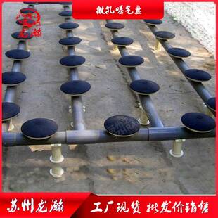 苏州龙瀚污水处理215橡胶盘式膜片微孔曝气器曝气管微孔曝气盘