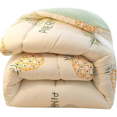 被被生芯冬季五斤冬天背子秋空冬被铺盖宿舍学棉一米05342五被子