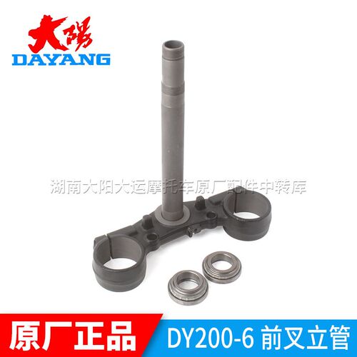 大阳摩托车原厂配件DY200-6/6A天昂方向柱立柱方向轴前叉立管轴承