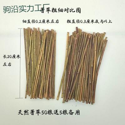 tt易经文化用品真品文王蓍草支送支筹策算筹算工具术数