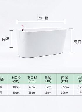 烤窗台花盆懒人XCZ自动吸水阳顺台塑料漆养花白一帆风掌长条花盆