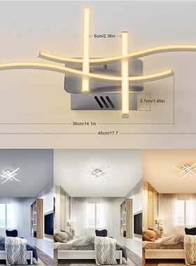 遥控led吸顶灯客厅卧室灯饰照明家装灯具过道走廊阳台线条餐厅灯