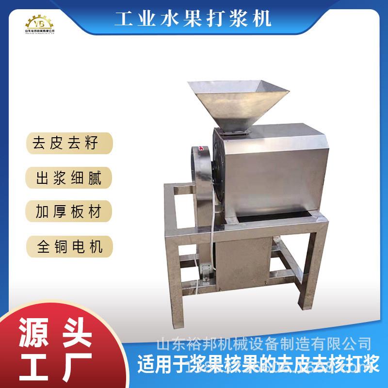 大型枇杷去核打浆机快速去核粉碎打泥机 芒果杨梅樱桃榴莲打浆机
