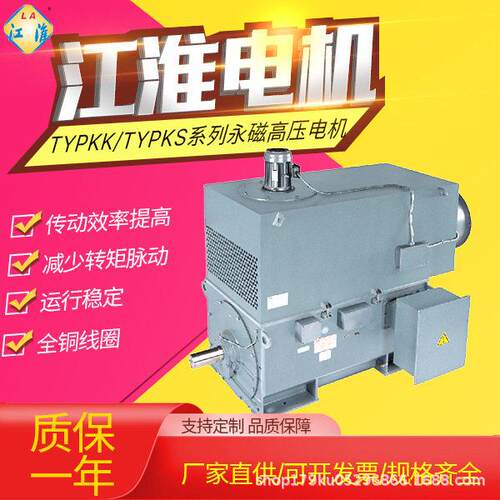 六安电机马达TYP、TYPS、TYC永磁压电动机200-10000w